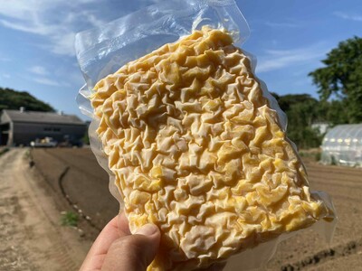「一つも捨てない農業」で未来を変える~規格外とうもろこしを“ゼロ廃棄”で活かす6次化プロジェクト~