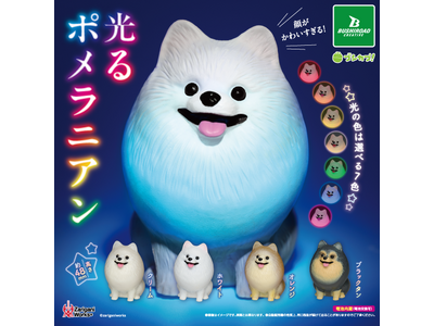 【本日発売】夜道で出会うと思わずニッコリ。「光るポメラニアン」のライト付きフィギュアがカプセルトイで登場！