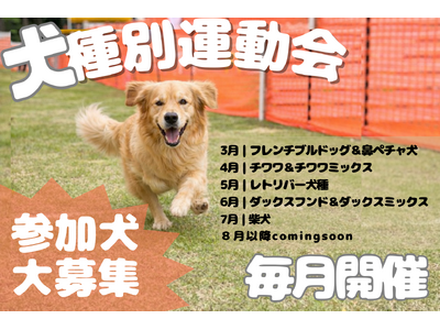 �y3������J�n�z�������킾���ŗV�ԁE�y���ށI�I�t��o�ŎQ���ł���u����ʉ^����v���G���Y�p�[�N���҂Ŗ����J�ÁB