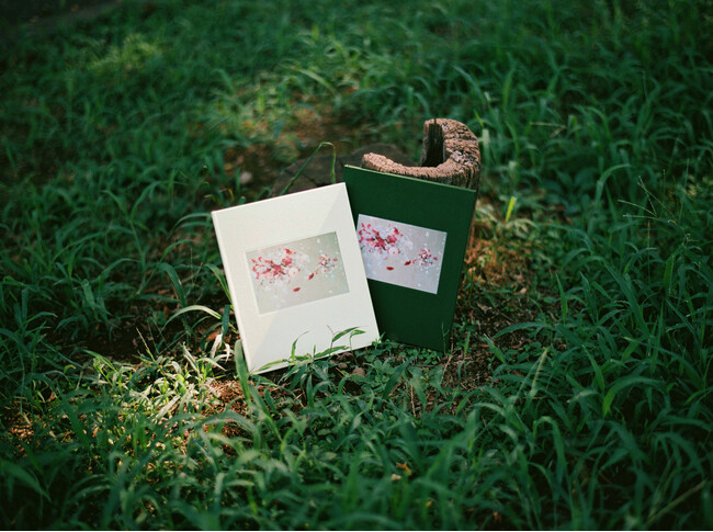 結婚式の思い出と想いまでも一冊へ残すフォトブック | ARCH DAYSが新ブランド「Noyer（ノワイエ）」を9月1日より販売開始