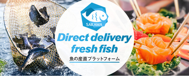 魚特化の産直モデルで漁業と食卓をダイレクトにつなぐ「SAKAMA」、株式投資型クラウドファンディングを開始