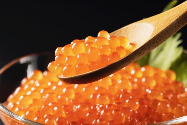 北海道・羅臼産の極上の生筋子からいくらを作ろう！鮮魚通販アプリから、産直生筋子のセットが新登場