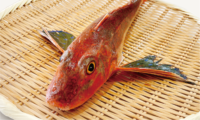 あなたにこの魚が捌けるか！？魚好き専用、山陰地方のお魚セット。「チャレンジFishボックス」