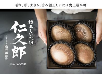 【限定100箱】独自の菌床栽培によって生まれた直径11cm超の旨味溢れる椎茸福王しいたけ「仁久郎（じんく...