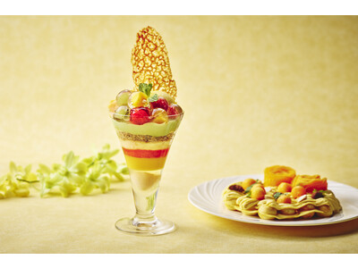 【1日10名様限定】話題の香港スイーツがチャイナシャドーに登場！トロピカルなマンゴー バブル・パフェ&ワッフル