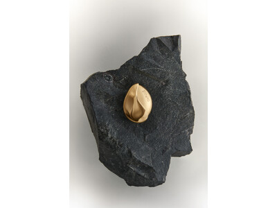 Cafune / カフネ　2026春コレクション玄武岩をモチーフにした新シリーズ「BASALT COLL...