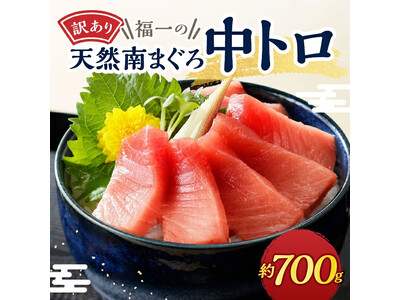 焼津市とともに！！ふるさと納税の返礼品を通じて、地元名産「南まぐろ」の魅力を全国に発信