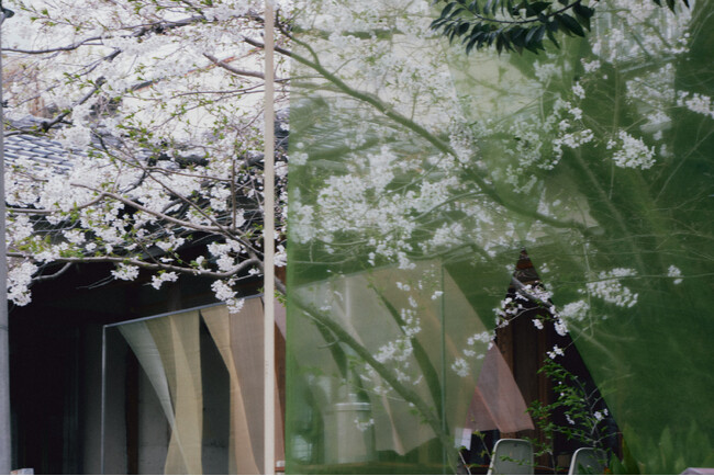 プレスリリース「12月8日（月）開催　Miele × nadoya 「FIRST PLACE」presents　キッチンを囲み、未来を、考える｜食と対話のイベント THINK & TASTE FIRST PLACE」のイメージ画像