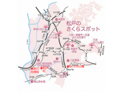 まもなく開花！桜が楽しめる見どころをご紹介 松戸市内4つのさくらの名所で「さくらまつり」も開催