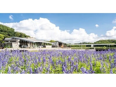 みどりの愛護が紡ぐ地方創生松戸市が積極的に取り組む公園整備やSDGsをご紹介