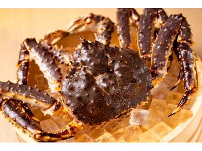 【銀座 たらば蟹 うら汐】目の前で捌く活蟹の迫力と、旬の味覚が勢ぞろい。冬の夜をしっとり彩る大人の美食空間。