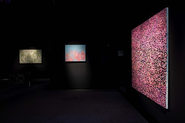 プレスリリース「現代アーティスト中北紘子作品展「Apoptosis」開催」のイメージ画像