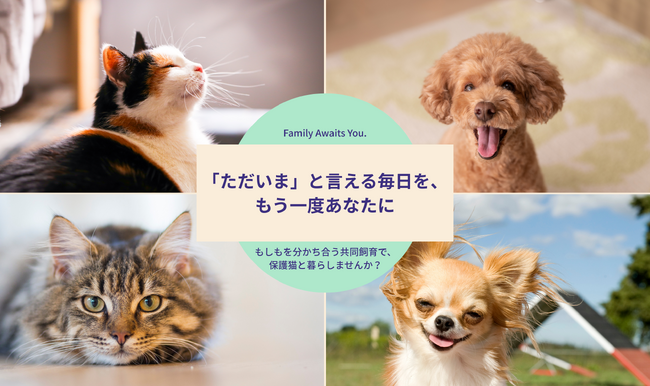 「ただいま」と言える毎日を、もう一度あなたに--