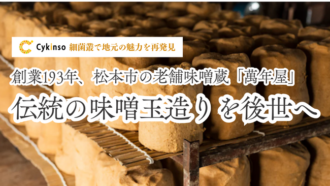 細菌叢で地元の魅力を再発見！伝統の味噌玉造りを後世へ