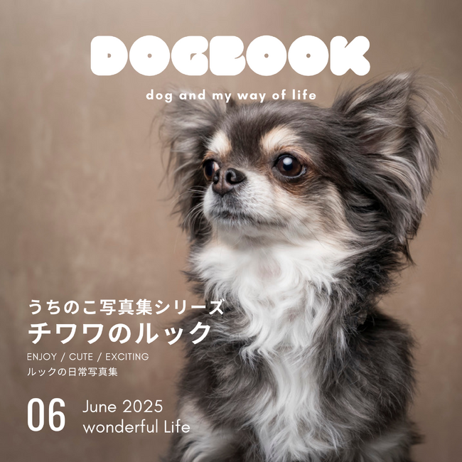 うちのワンコの写真集が出版できる！「うちのこ写真集」シリーズ第3弾は『チワワのルック』が発売決定！