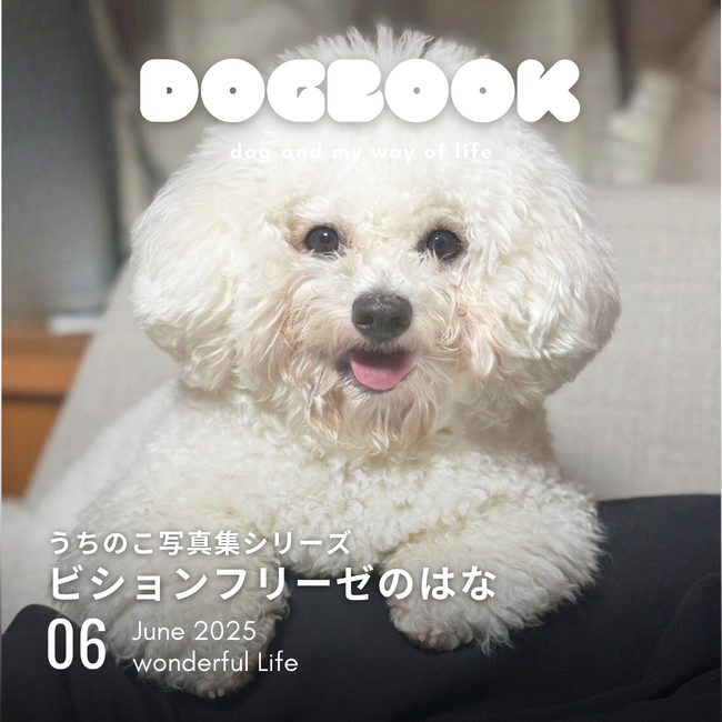 我が家のわんこの写真集が出版できる！「うちのこ写真集」シリーズ第6弾『ビションフリーゼの華子』が発売