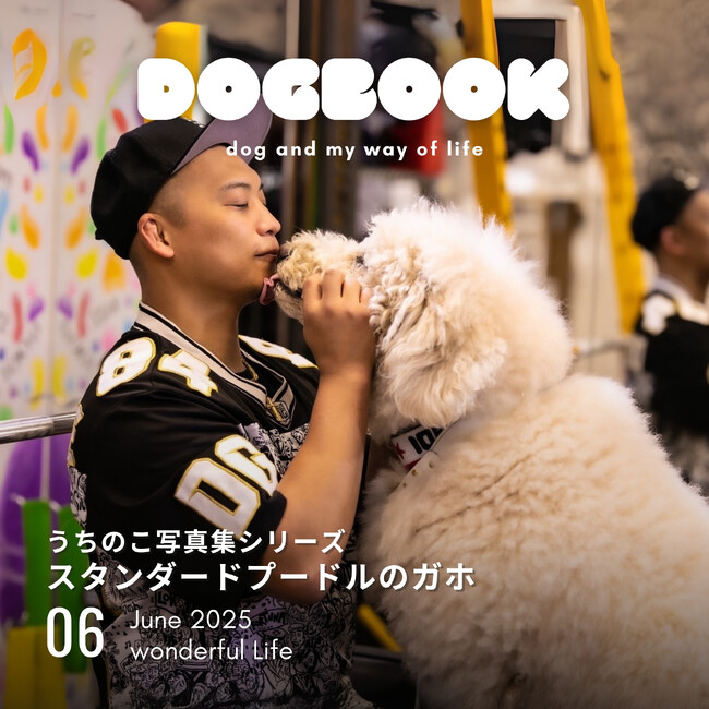 お店の看板犬の写真集が出版できる新サービス「うちのこ写真集」シリーズ第5弾は『スタンダードプードルのガホ』が発売！