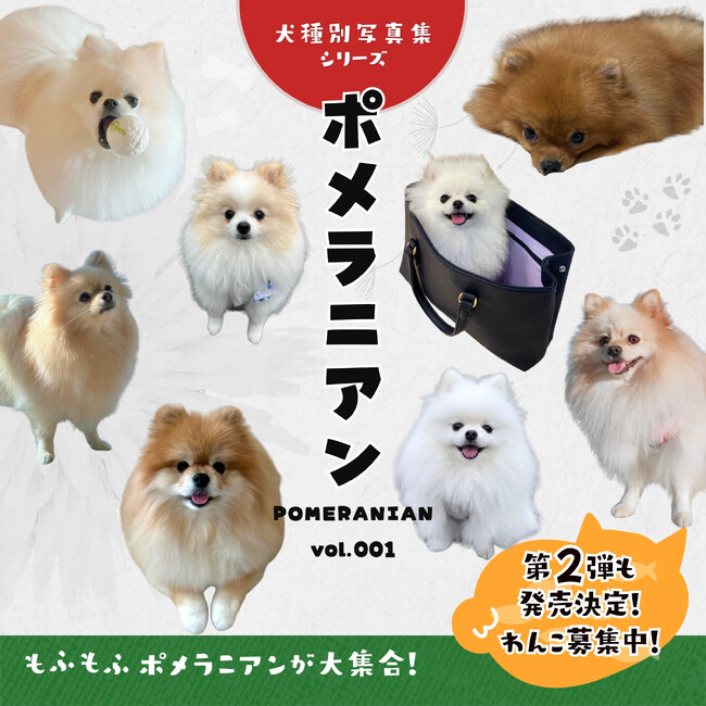 プレスリリース「【新刊発売】全国の“うちのこ”が大集合！ふわふわポメまみれになれる参加型写真集『ポメラニアンvol.001』が4月22日よりAmazonにて発売開始！」のイメージ画像