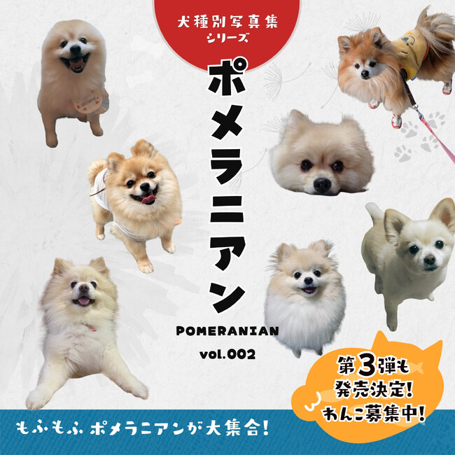 プレスリリース「【期間限定】電子書籍版が無料で読める！ポメラニアンだらけ写真集（犬種別写真集シリーズ第3弾「ポメラニアンvol.002」）がKindleで期間限定の無料配信」のイメージ画像