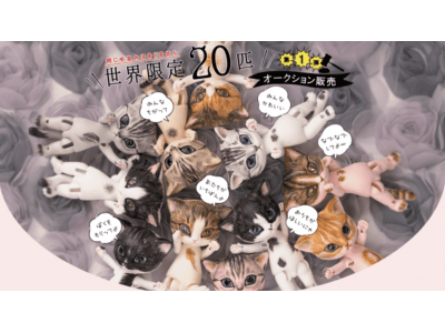 【DOLK】世界限定20匹！球体関節の猫ドール「KOO」が多彩なアーティストメイクで集合！