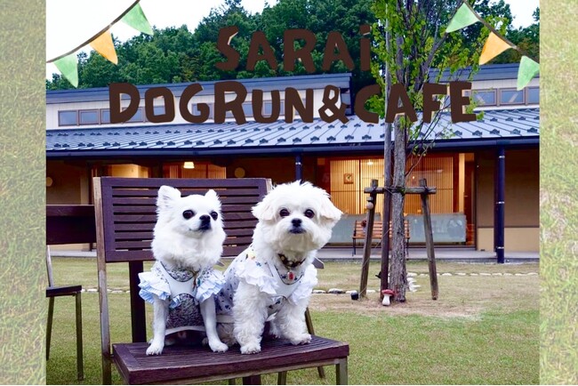 【ウェルネスハウスSARAI】敷地内ガーデンエリアに小型犬専用のドッグラン＆カフェテラスを新設！“石川県能美市をワンコで盛り上げたい！“2025年6月1日より利用開始