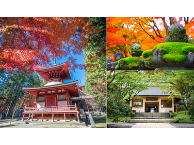 【秋の見どころ】高野山の紅葉と霊宝館秋期企画展