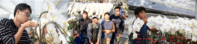 農福連携に取り組むNPO法人AlonAlon（理事長 那部智史、千葉県いすみ市）の胡蝶蘭が、トヨタ・コニック・プロ株式会社『TQ MALL』の取り扱い商品に採用されました。