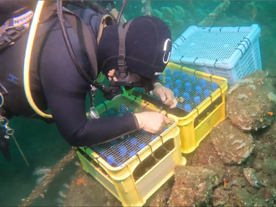 東駿河湾の豊かな自然で熟成されたクラフトビールを楽しもう！静岡のクラフトビールを様々なスタイルで楽しむビ...