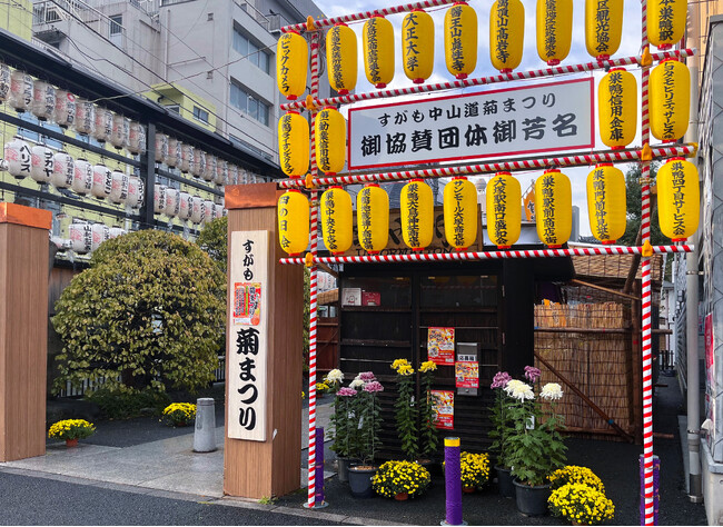 江戸の情緒がよみがえる 巣鴨 秋のイベント「すがも中山道 菊まつり」11月6日より開催