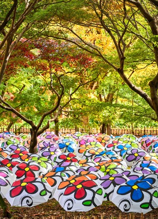 プレスリリース「【水の家×芸術家ミレイヒロキ】伊豆高原五月祭にて大規模インスタレーションを開催「つながり・環境と生命」」のイメージ画像