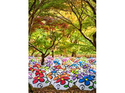 【水の家×芸術家ミレイヒロキ】伊豆高原五月祭にて大規模インスタレーションを開催「つながり・環境と生命」