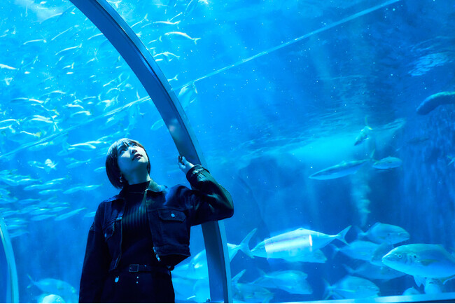 映えもスケールも桁違い!お城にしか見えない水族館【登別マリンパークニクス】