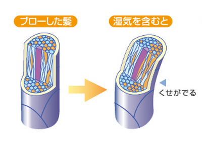 美容師約400人に“湿気が気になる時期の髪悩み”について調査を実施