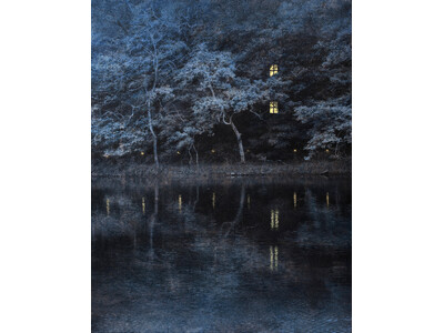 「奥村祥子展 NIGHTFALL IN THE FOREST」、11月20日から新宿高島屋10階美術画廊で開催
