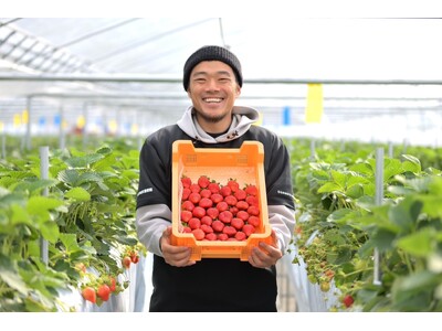 〈Suilive〉高濃度水素溶解装置を活用したイチゴ栽培の共同研究を開始