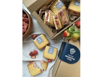 いちごやcafeTANNALを手掛ける、糸島のあまおう農家「糸島 磯本農園」が三井ショッピングパーク ら...