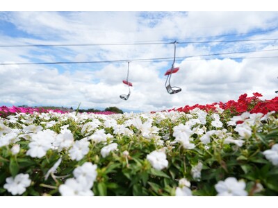 シルバーウィークは愛知県最高峰の花畑へ「茶臼山高原　サンパチェンスまつり」を開催