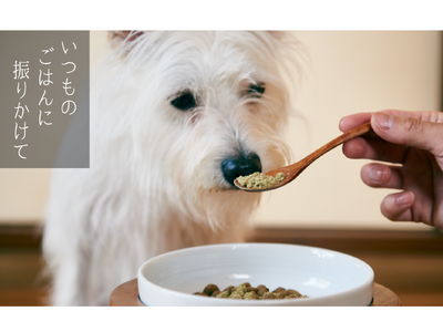 東京海洋大学発ベンチャーとペットプラス、三陸の未利用海藻を愛犬のごはんへ。「三陸わかめふりかけ」を販売開始