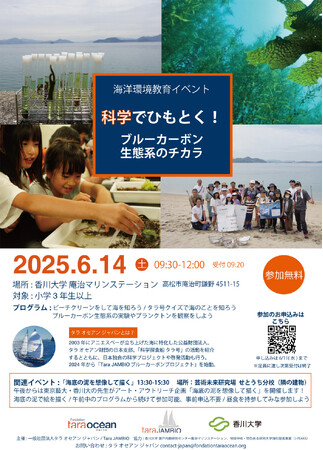 プレスリリース「香川県庵治で「海」とふれあう1日！科学で学ぶブルーカーボン生態系＆アート体験イベントを6月14日開催」のイメージ画像