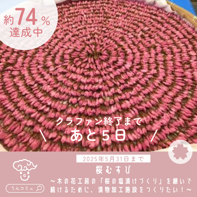【クラファンあと5日】島根県雲南市で「桜の塩漬け」の加工施設開設に向けたクラウドファンディングが5月31日に終了