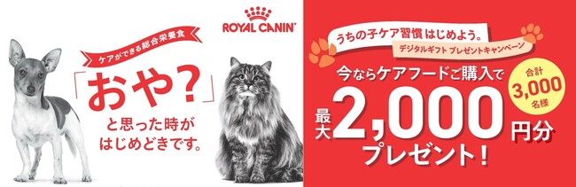 ロイヤルカナン、デジタルギフト プレゼントキャンペーンを実施「うちの子ケア習慣はじめよう。」
