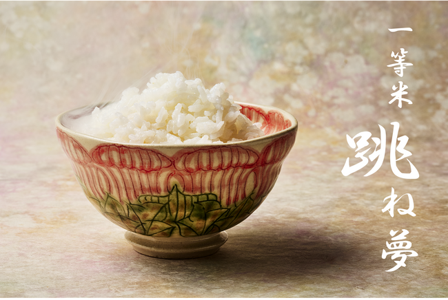 五つ星マイスター山下治男セレクト　400年続く米農家の自信作。大粒の弾…