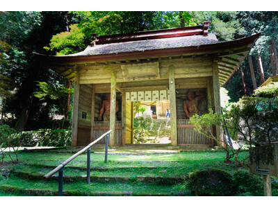 【参加受付中】苔の聖地・金勝寺で初夏の癒し体験「苔フィールドワーク＆テラリウムワークショップ」6月15日...