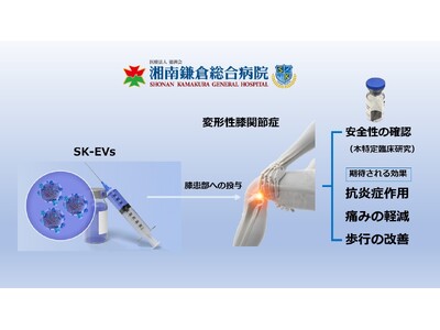 �G�N�\�\�[���ɂ��ό`���G�֐ߏǂւ̖{�M���̓���Տ��������J�n