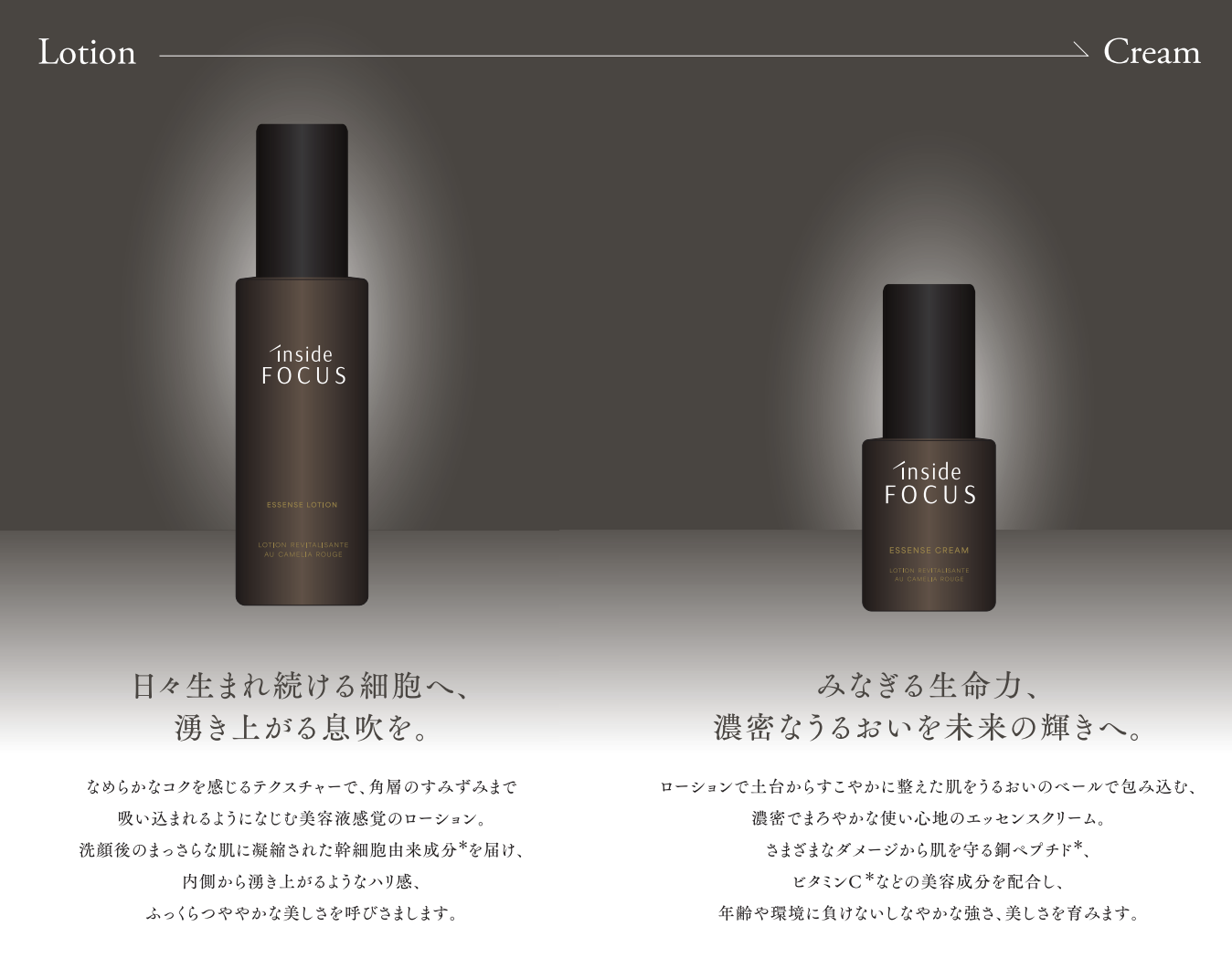 3 月 3 日（月）発売開始。エステ専売“至福のエイジングケア”。ハリ感高まる、幹細胞×高純度・高分子エラスチン配合。