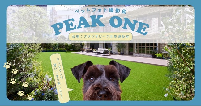 プロ広告カメラマンによる《ペット撮影体験イベント「PEAK ONE」》都心・千駄ヶ谷で7/19開催
