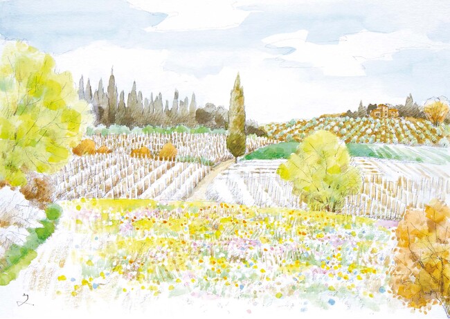 堀文子の仕事　イタリア・トスカーナ ― 無垢の感動を求めて2025年11月13日（木）より、銀座ナカジマアートにて開催。