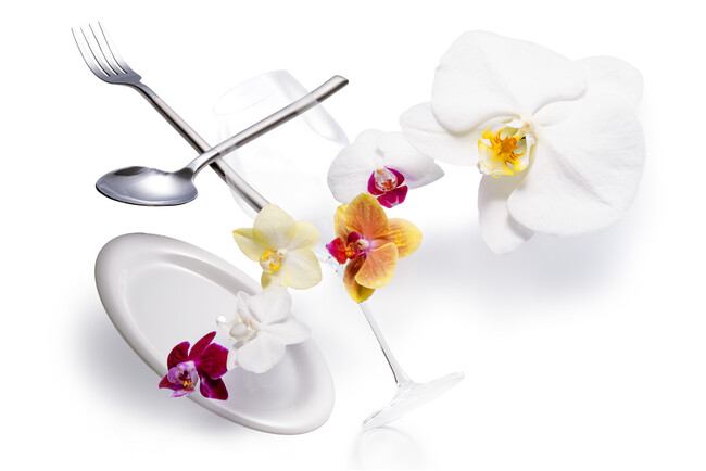 食べられる胡蝶蘭(エディブルオーキッド)の販売を開始。