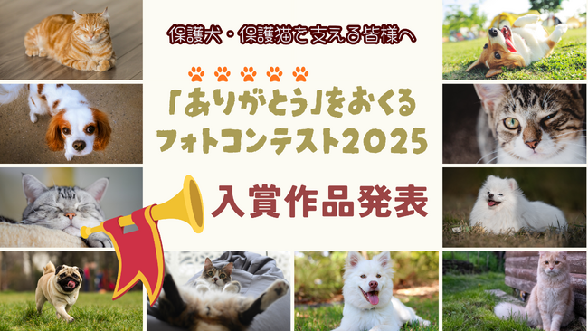 応募73頭、総投票2,794件の反響！保護犬・保護猫を支える人へ「ありがとう」を贈るフォトコンテスト2025 結果発表