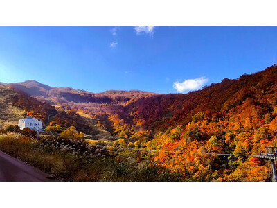 【紅葉ピーク到来】ロッテアライリゾート「紅葉ゴンドラ」で体感する、秋の空中散歩！
